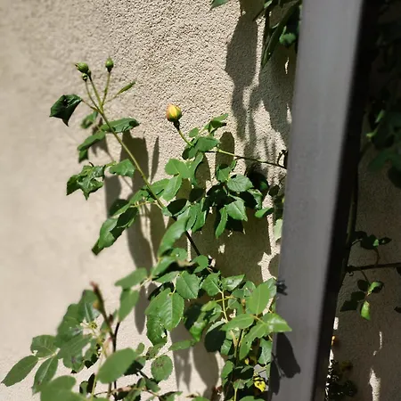 Apartment Sorrento Sole Mare B - Bastet Bs